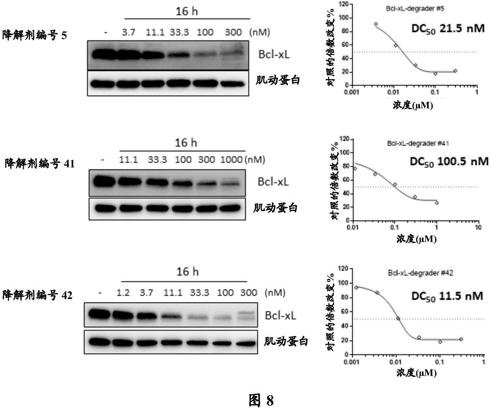 Figure BDA0003293294510002091