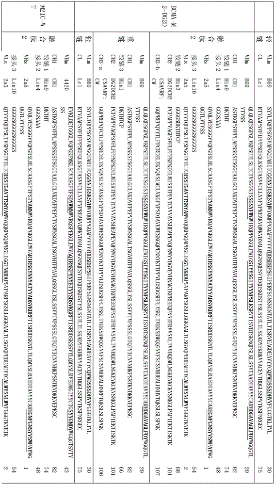 Figure BDA0002336612250000951