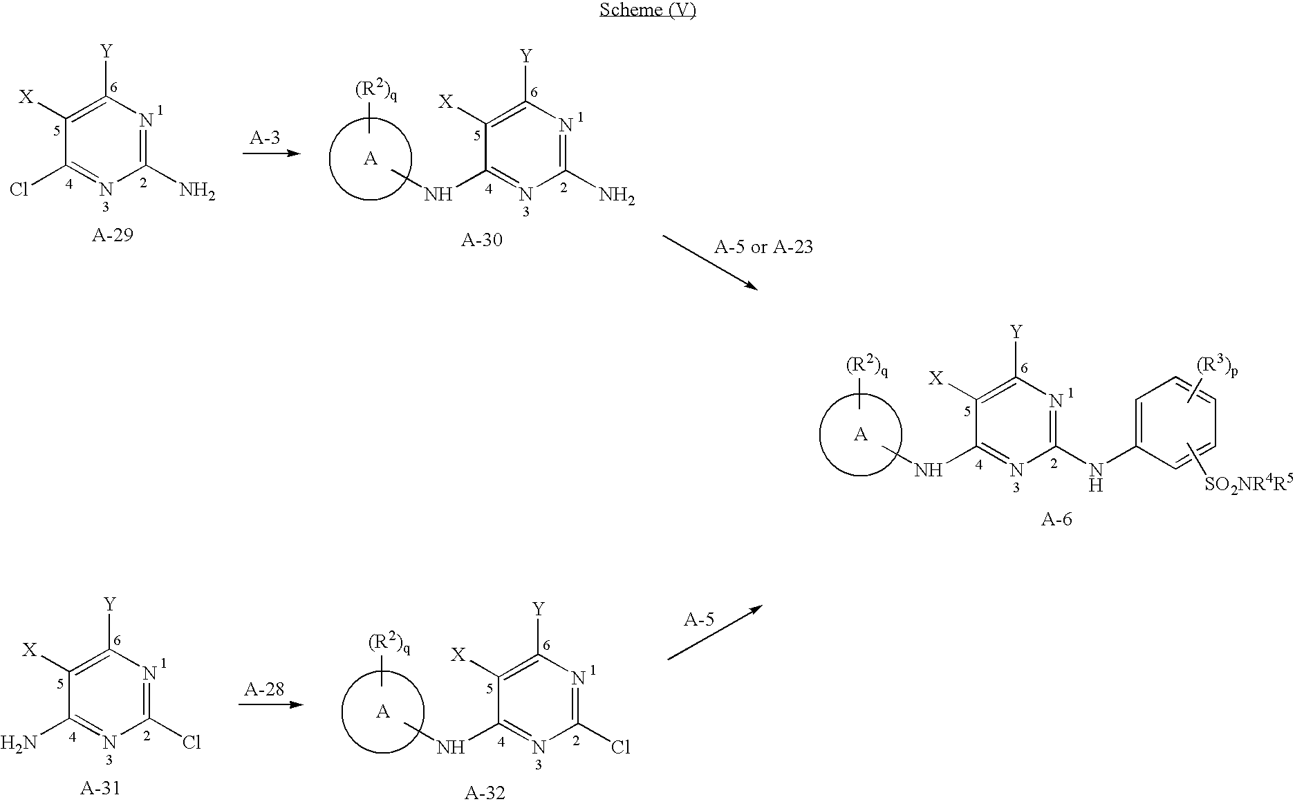 Figure US20070203161A1-20070830-C00054