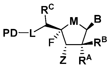 Figure imgf000009_0003