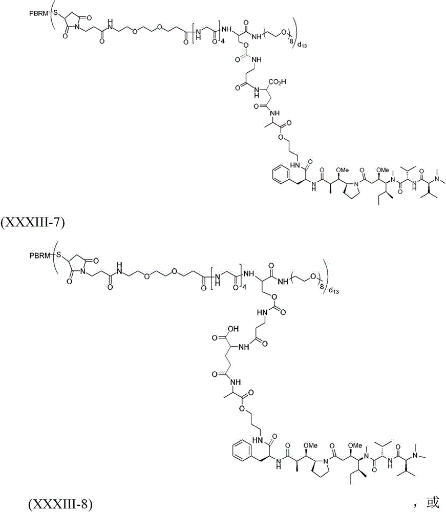 Figure BDA0003135424430002121