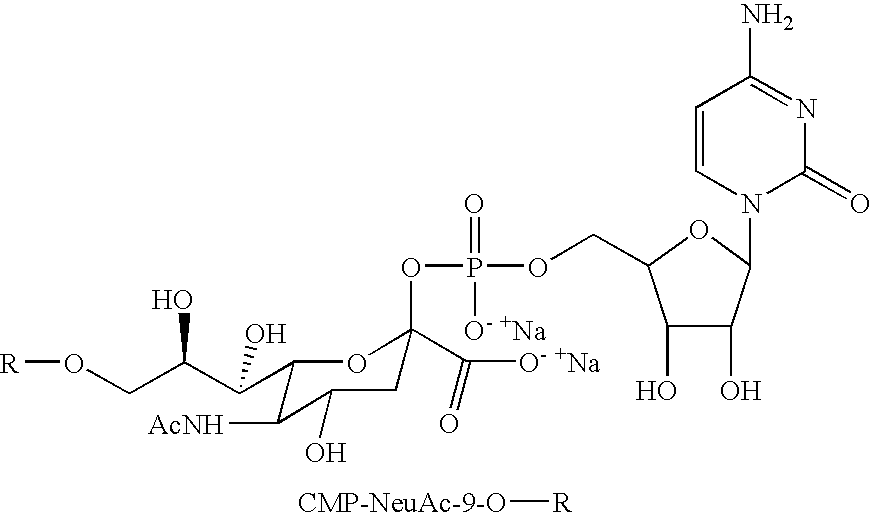 Figure US20080242607A1-20081002-C00048