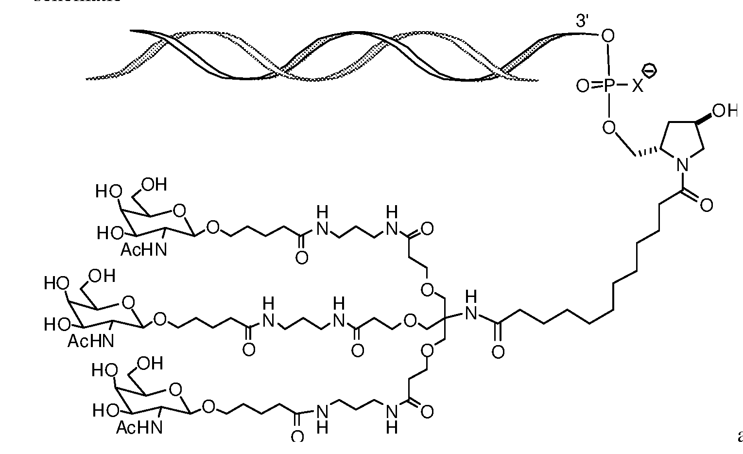 Figure imgf000012_0001