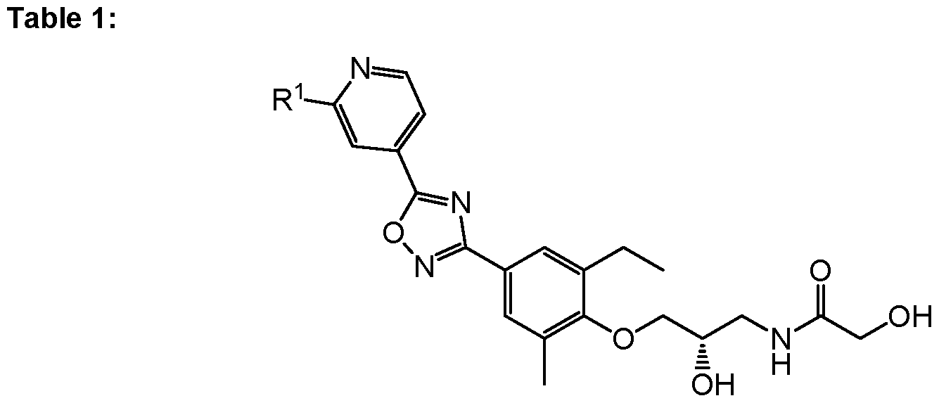 Figure imgf000005_0001