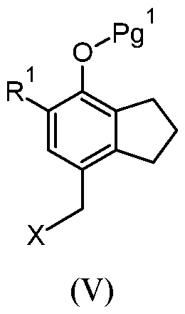 Figure imgf000009_0001