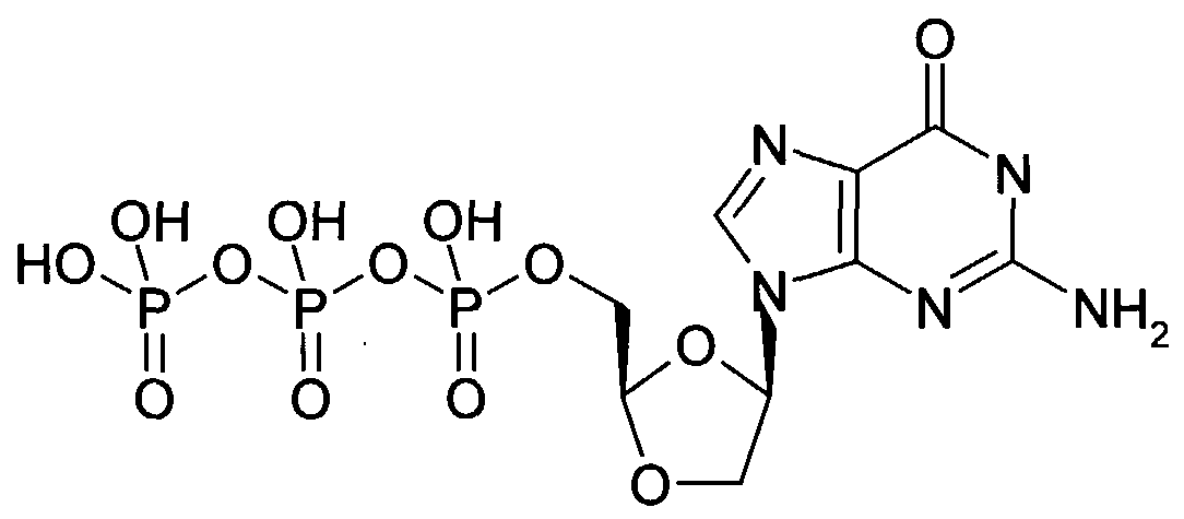 Figure imgf000020_0002