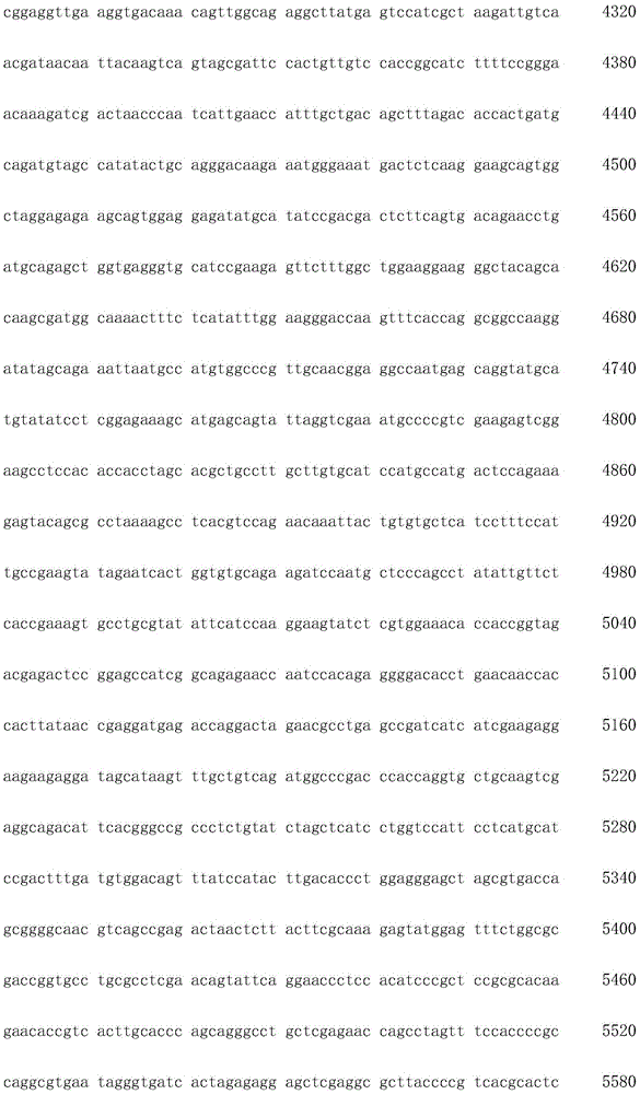 Figure IDA0002872168960002081