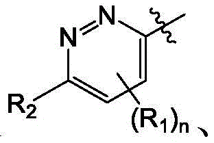 Figure BDA0004113614020001364