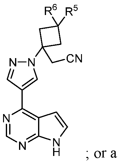 Figure imgf000010_0002