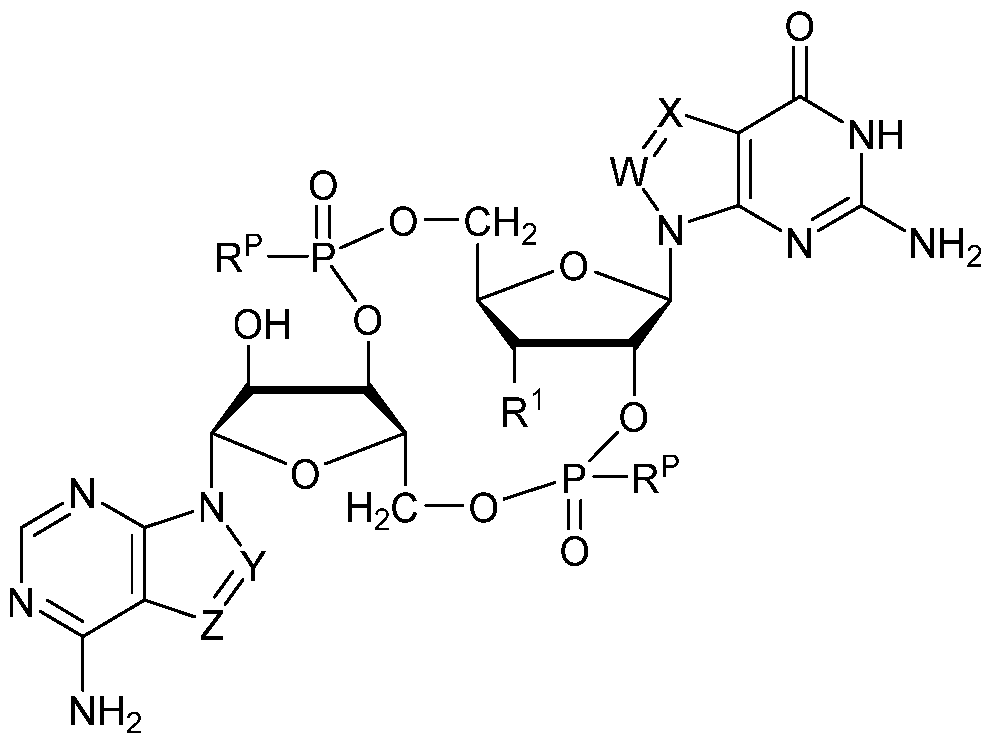 Figure imgf000056_0001