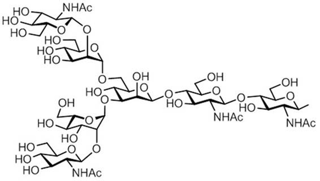 Figure 0007142286000003