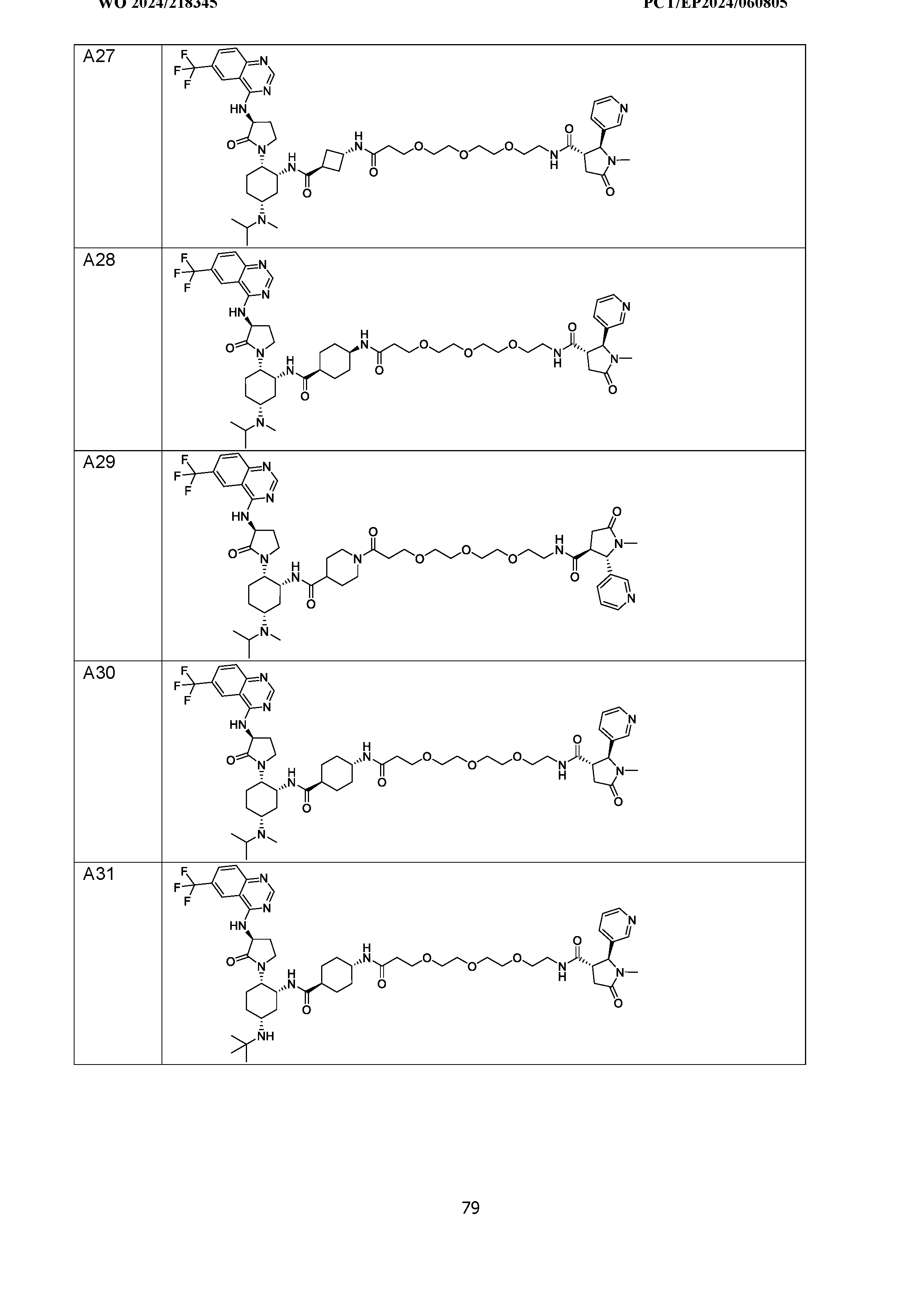 Figure imgf000081_0001