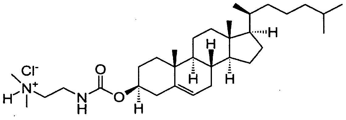 Figure imgf000061_0002