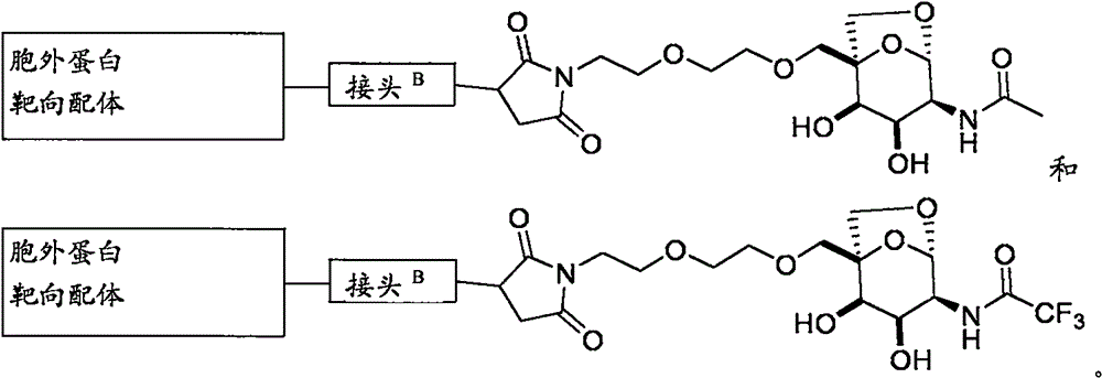 Figure BPA0000324887470000882