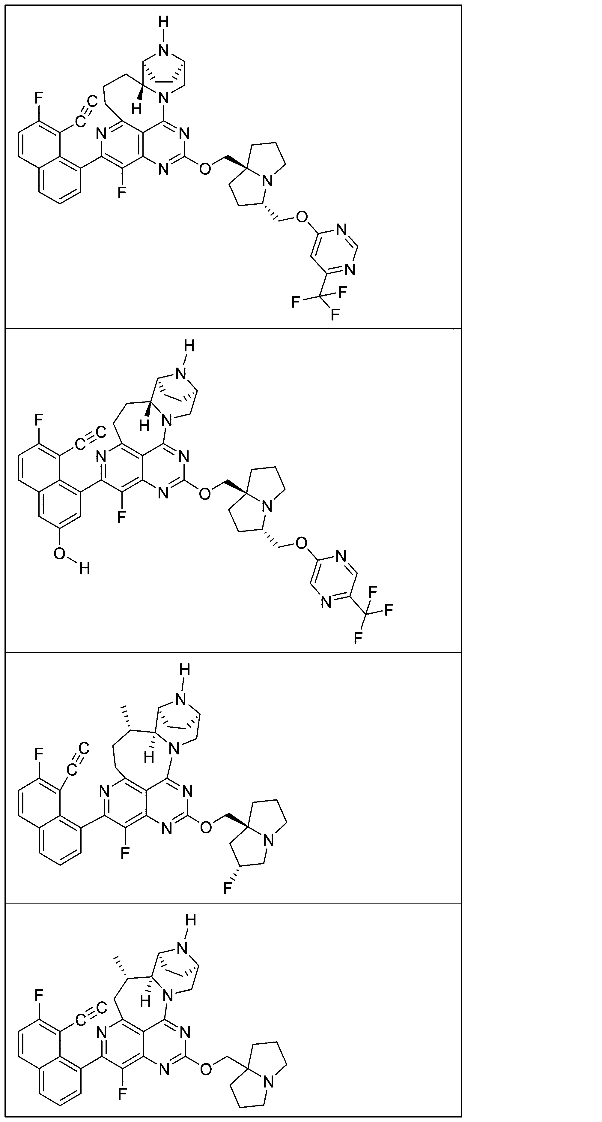 Figure 2025513258000105