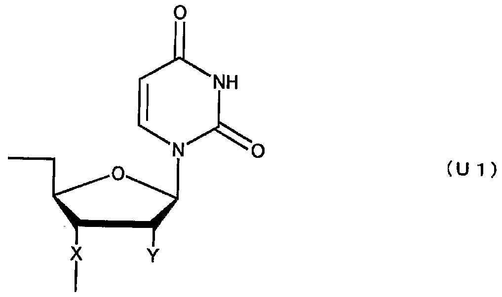 Figure imgf000079_0002