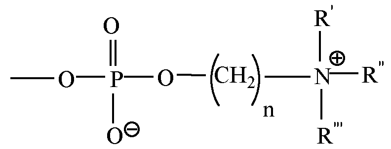 Figure imgf000062_0001