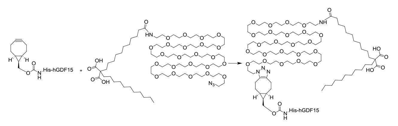 Figure 2022095757000125