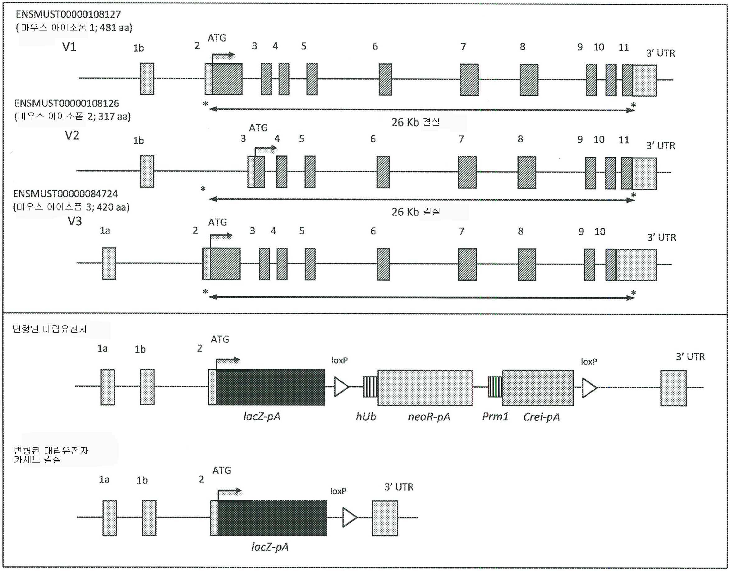 Figure 112017129586711-pct00003