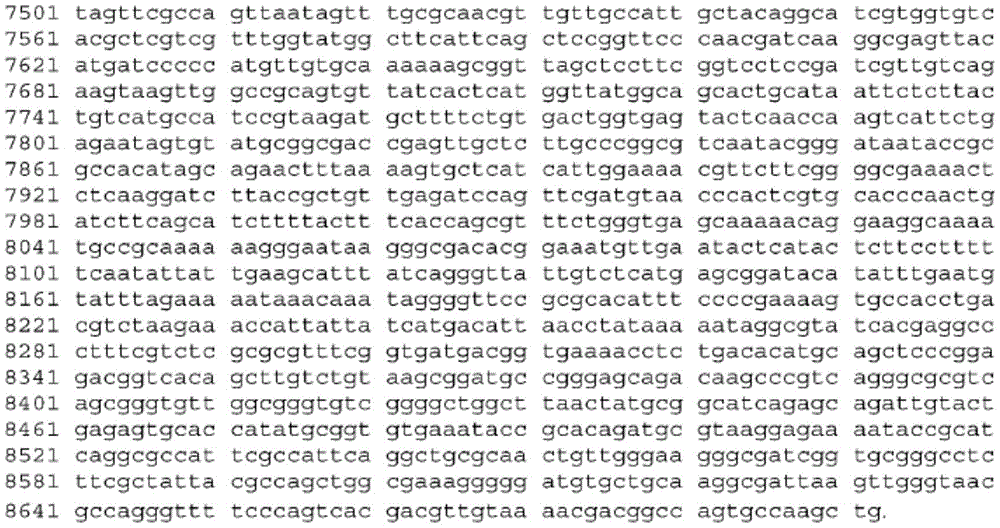 Figure BDA0003465582640001371