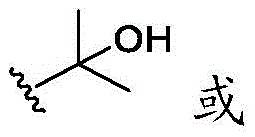 Figure FDA0002710254910000214