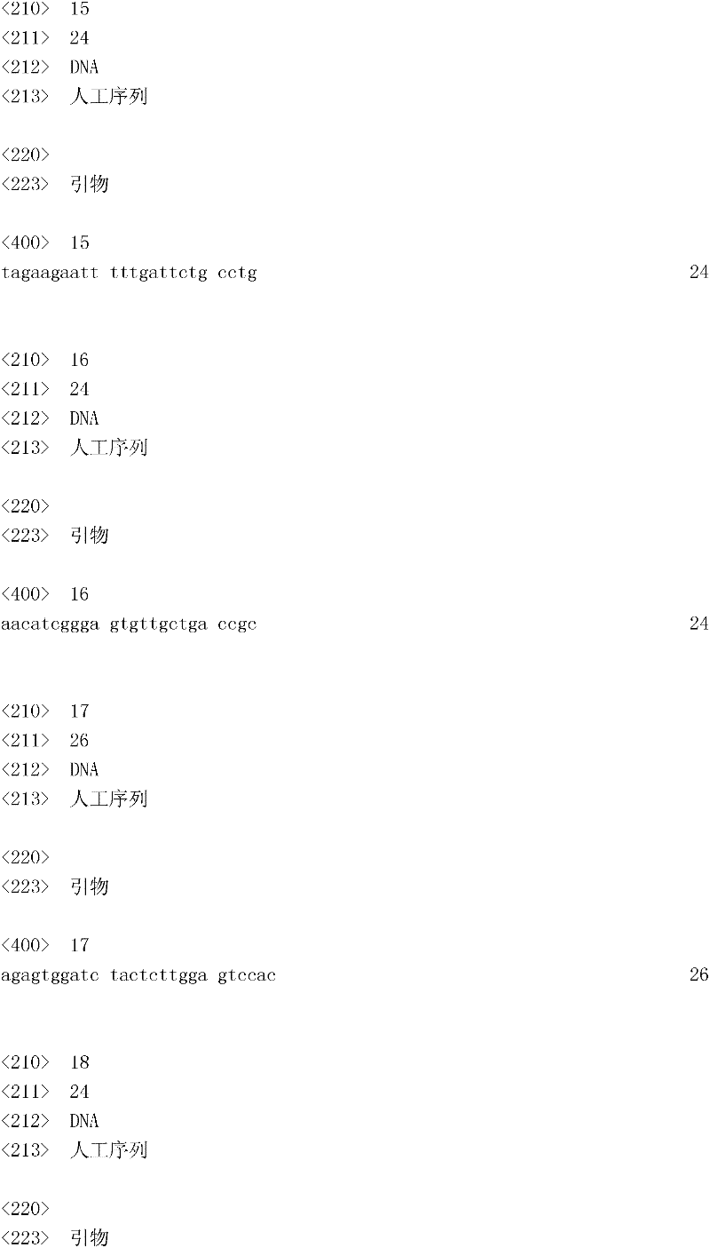 Figure IDA0000133447040000121