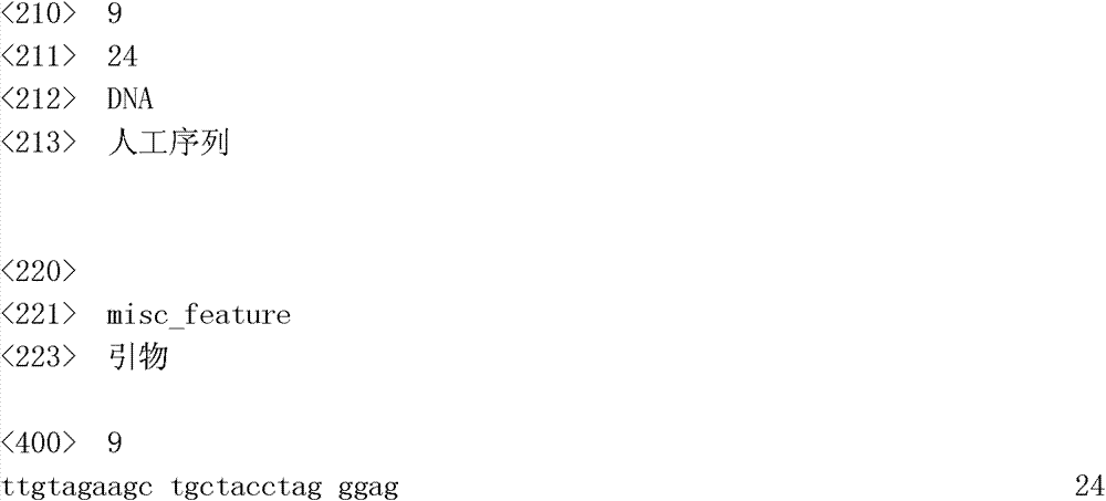 Figure IDA0000054504600000041