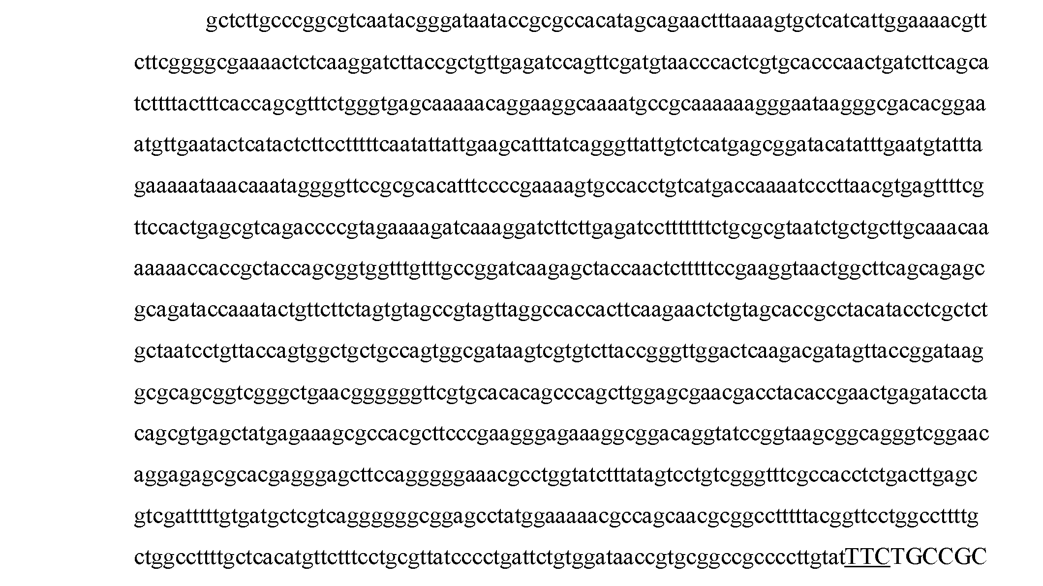 Figure DE212020000516U1_0003