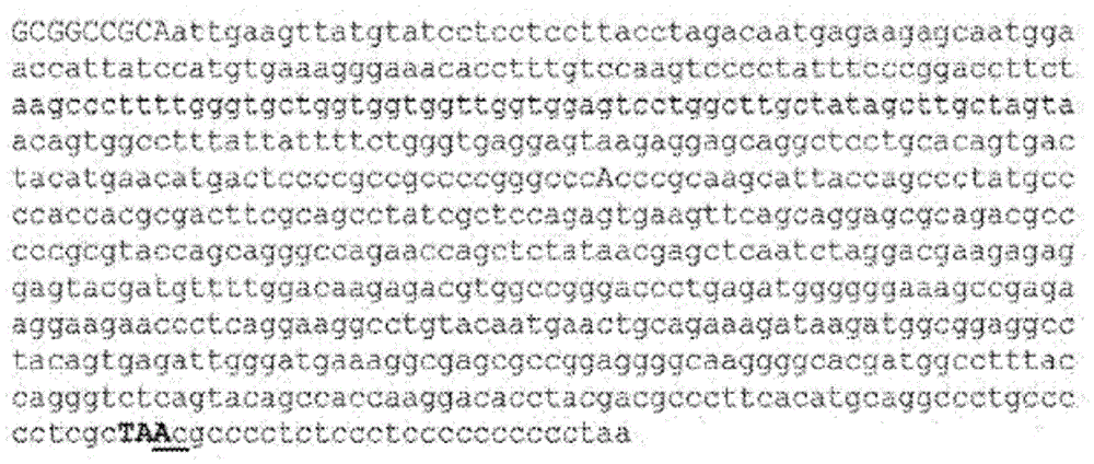 Figure BDA0001663560350000681