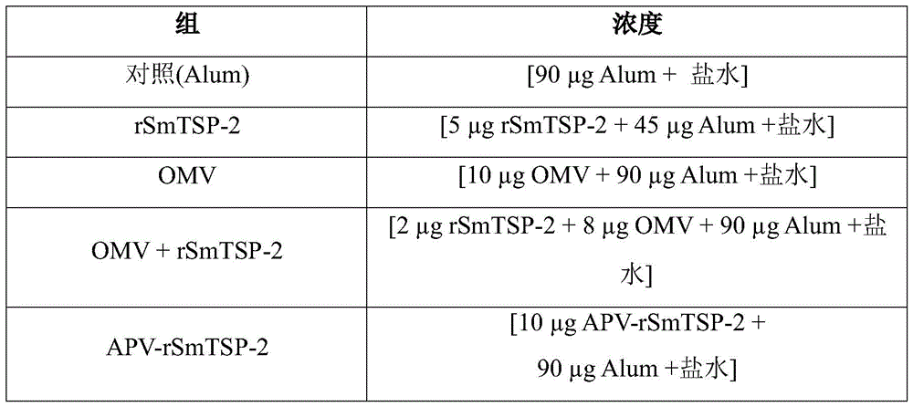 Figure BDA0004113651920000122