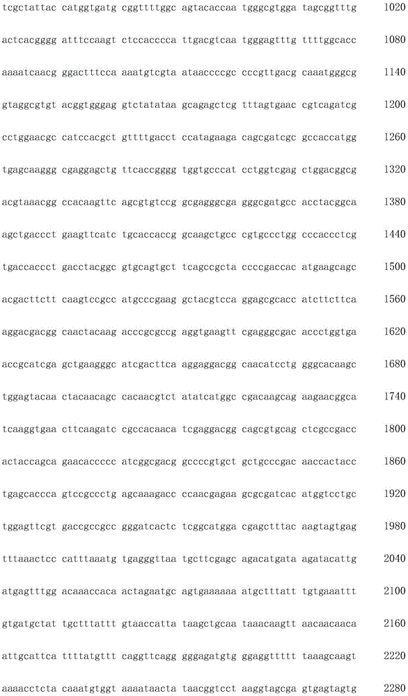 Figure IDA0002872168960001821