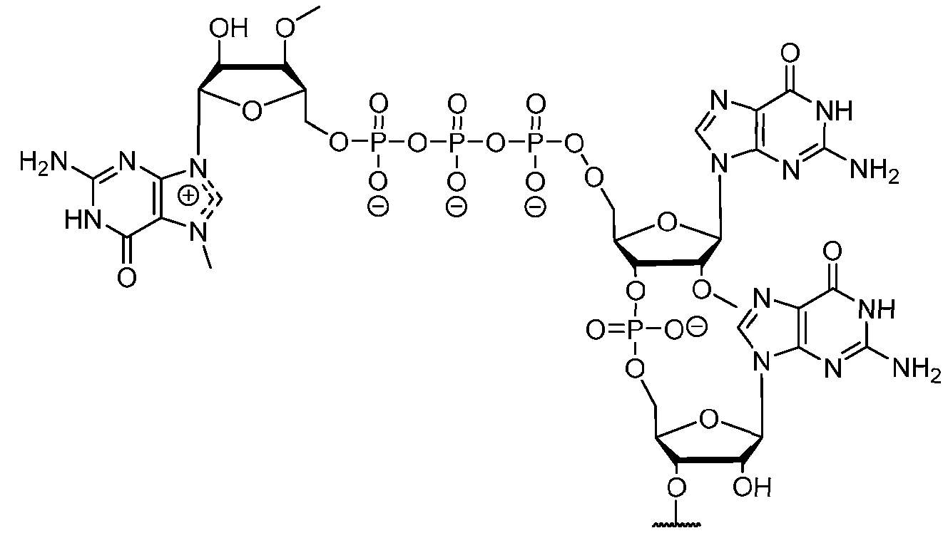 Figure imgf000134_0001