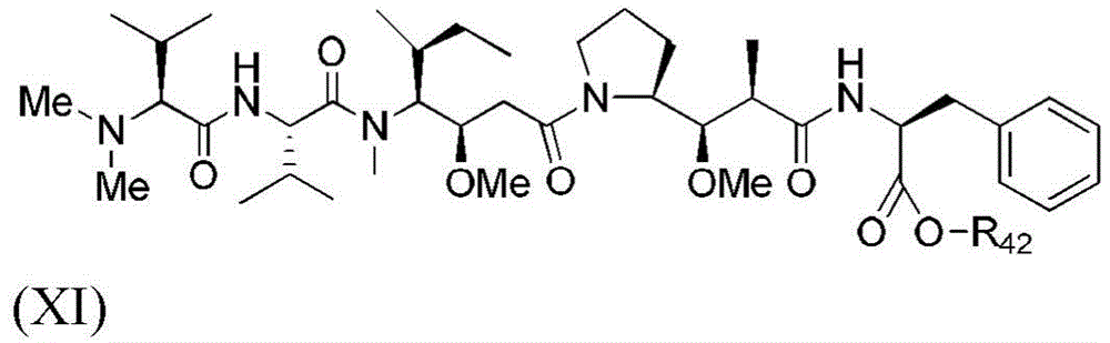 Figure BDA0003135424430001373