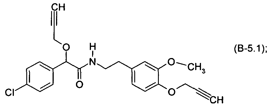 Figure imgf000004_0001