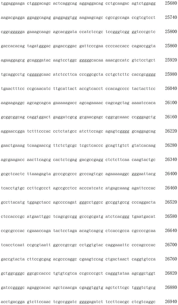 Figure IDA0002872168960000211