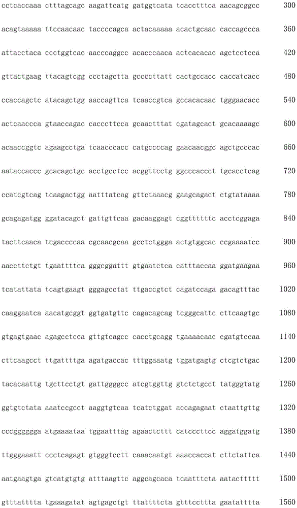 Figure IDA0002872168960002441