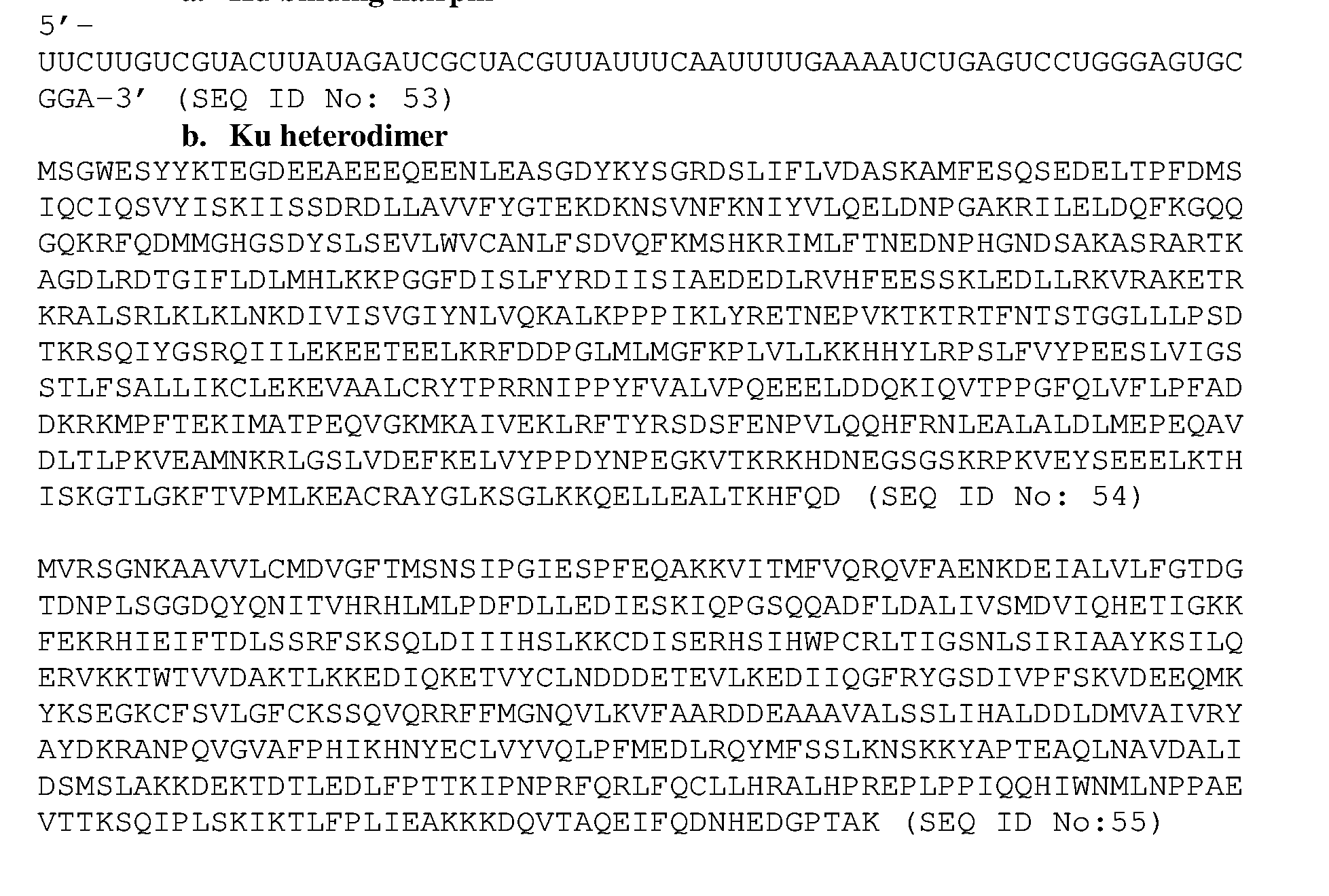 Figure imgf000023_0001