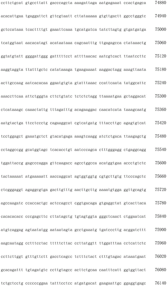 Figure IDA0003936212790001581