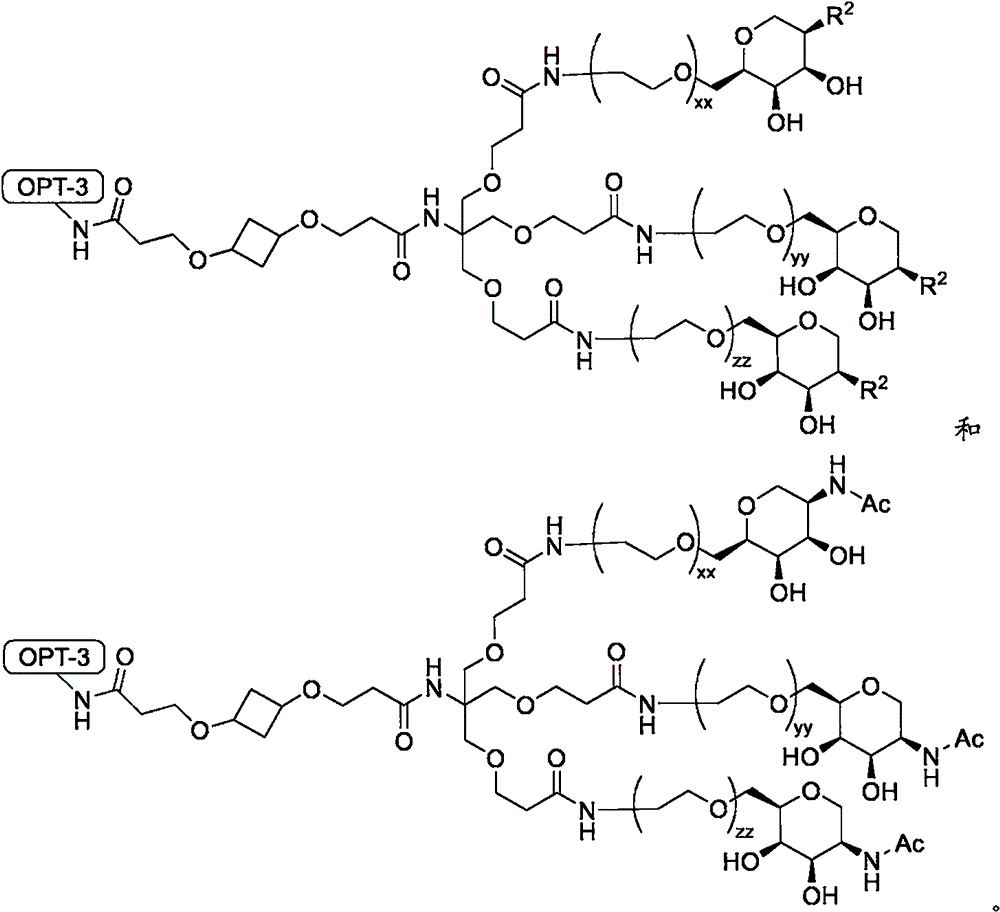 Figure BPA0000324887470001532