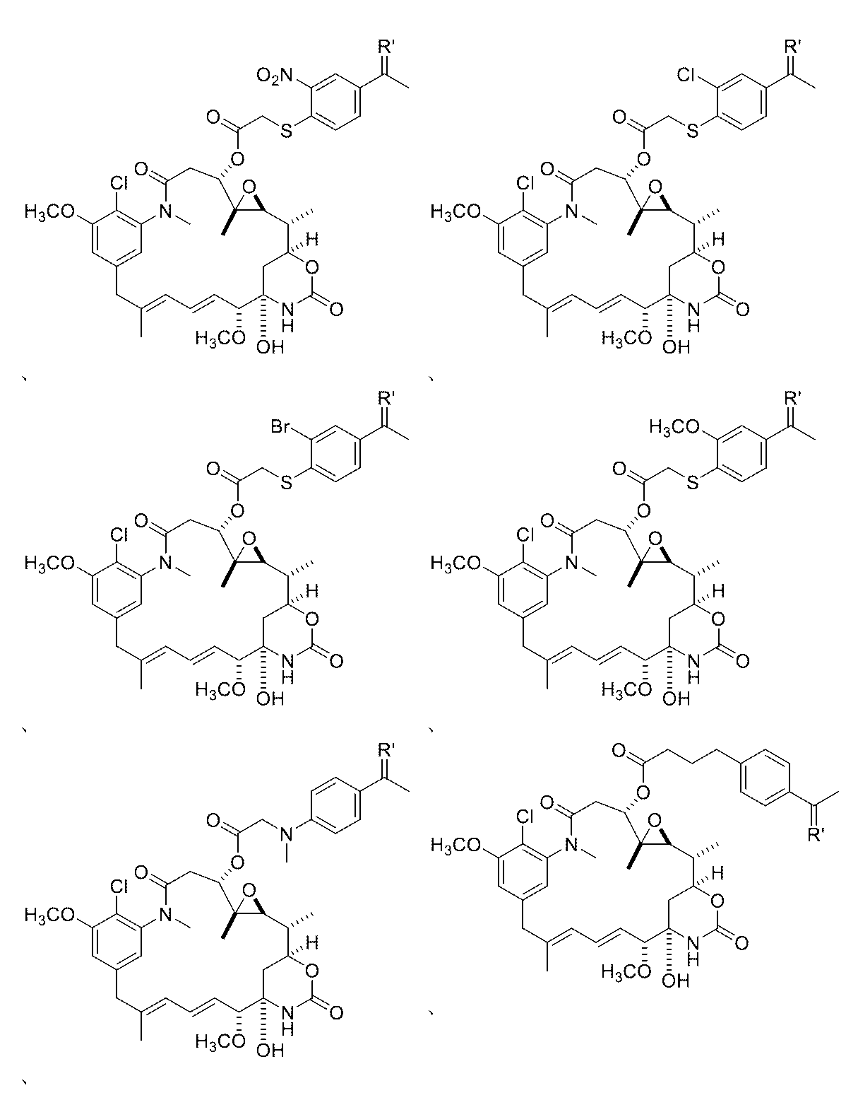 Figure 0007442821000164