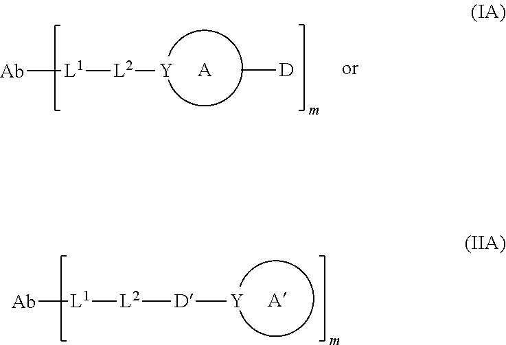 Figure US20250205350A1-20250626-C00290