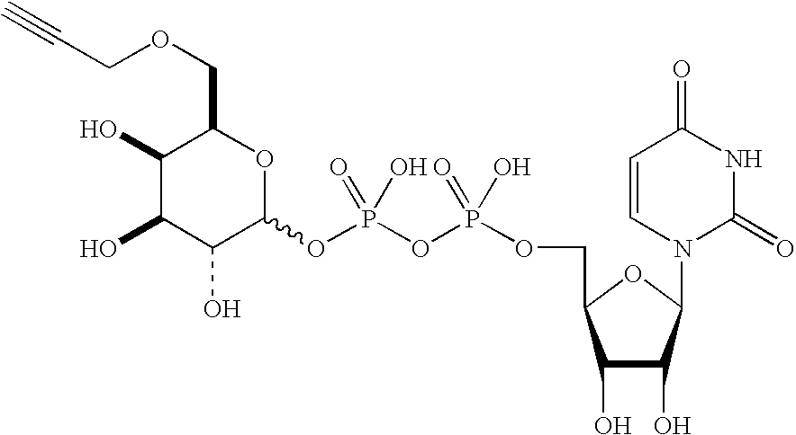 Figure US20080108557A1-20080508-C00070