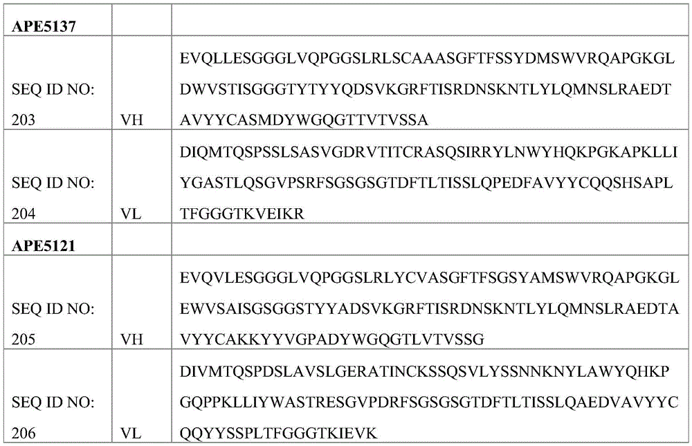 Figure BDA0004113614020002871
