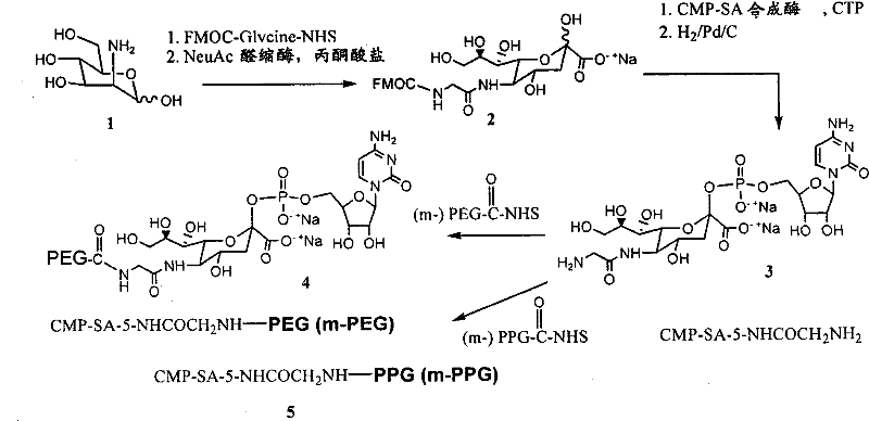 Figure BPA00001206677801381