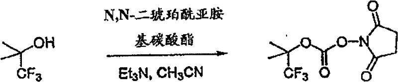 Figure BSA00000554725401073