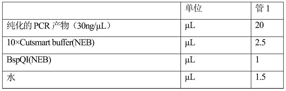 Figure BDA0002357574680000731