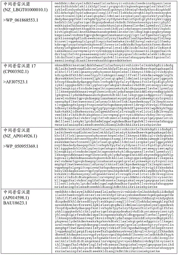 Figure BDA0002313867470003571