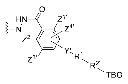 Figure 0007442821000096