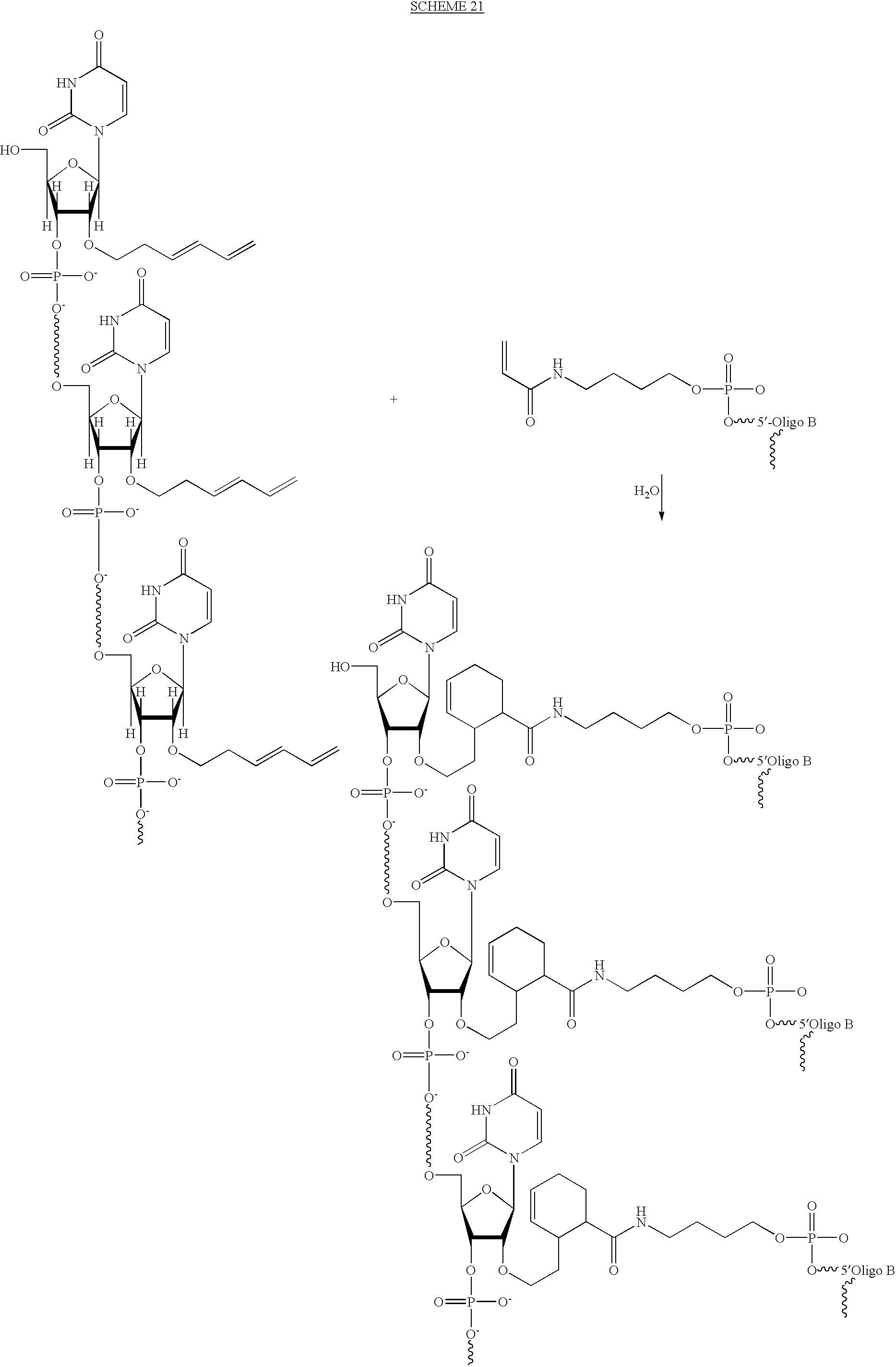 Figure US06737236-20040518-C00033