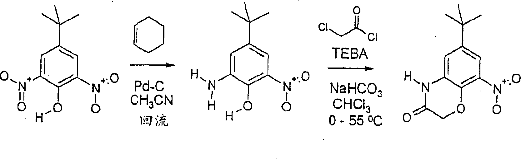 Figure C0080481301301